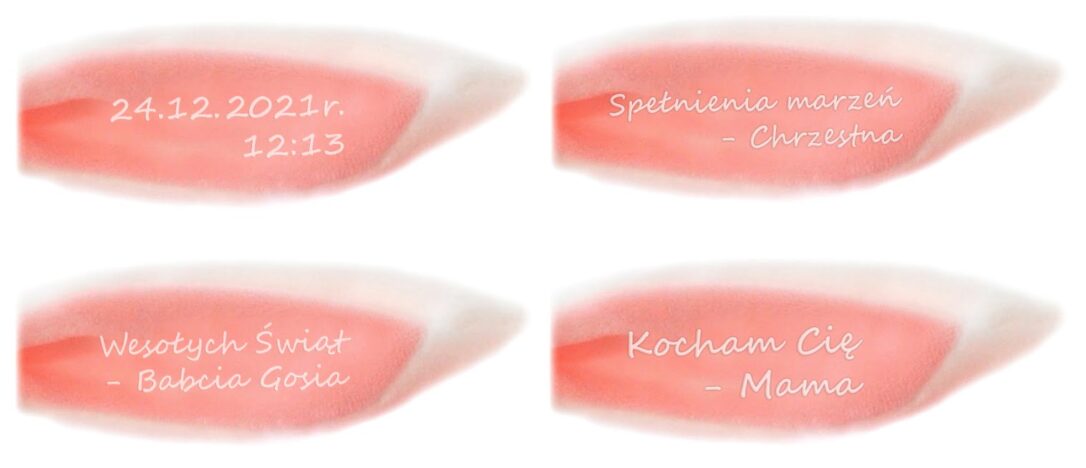 Różowy królik Metoo z dedykacją, życzeniami na święta.