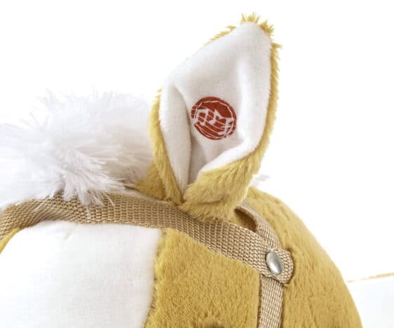 ucho konika na biegunach